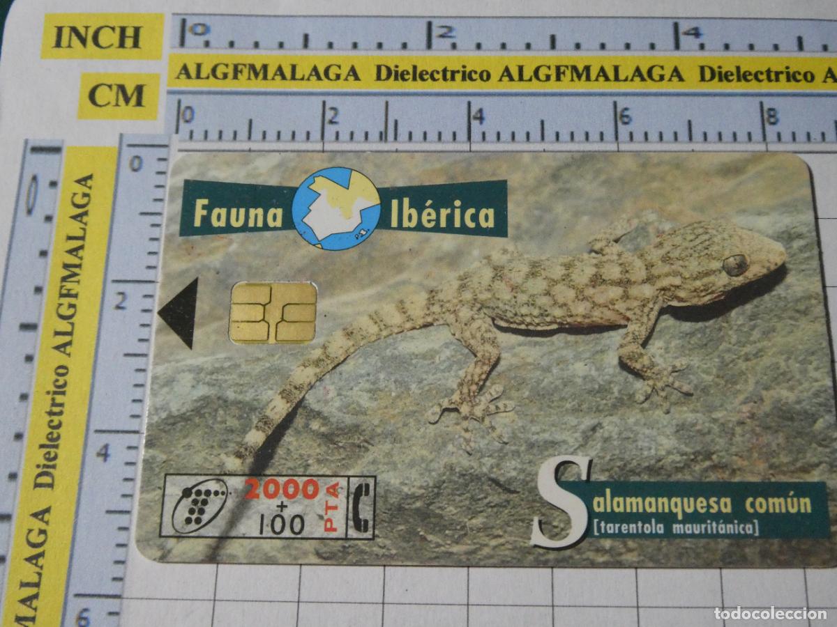 Tarjetas telef&oacute;nicas de colecci&oacute;n: TARJETA TELEF&Oacute;NICA ESPA&Ntilde;A CABITEL. 12/1998 TIRADA 1000000 SALAMANQUESA COM&Uacute;N 27
