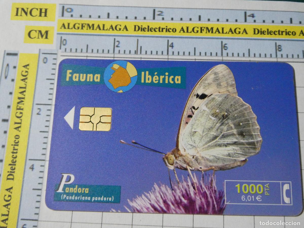 Tarjetas telef&oacute;nicas de colecci&oacute;n: TARJETA TELEF&Oacute;NICA ESPA&Ntilde;A CABITEL. 09/1999 TIRADA 1000000 MARIPOSA PANDORA 37