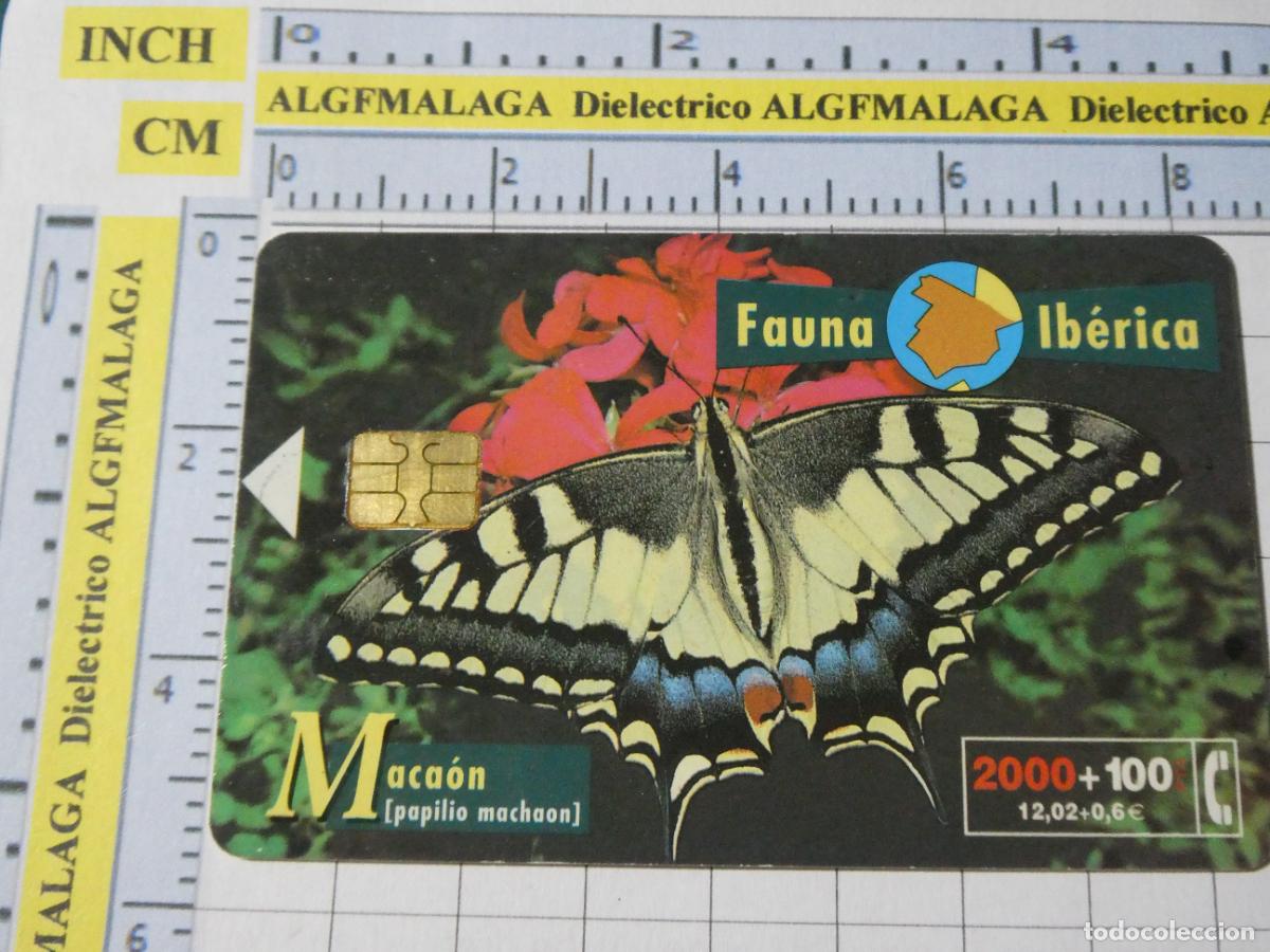 Tarjetas telef&oacute;nicas de colecci&oacute;n: TARJETA TELEF&Oacute;NICA ESPA&Ntilde;A CABITEL. 08/1999 TIRADA 1000000 MARIPOSA MACA&Oacute;N 38