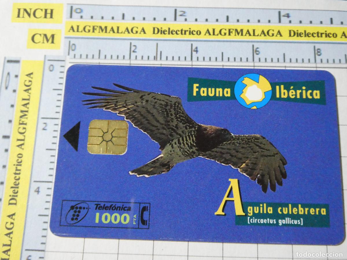 Tarjetas telef&oacute;nicas de colecci&oacute;n: TARJETA TELEF&Oacute;NICA ESPA&Ntilde;A CABITEL. 06/1998 TIRADA 2000000 &Aacute;GUILA CULEBRERA 39