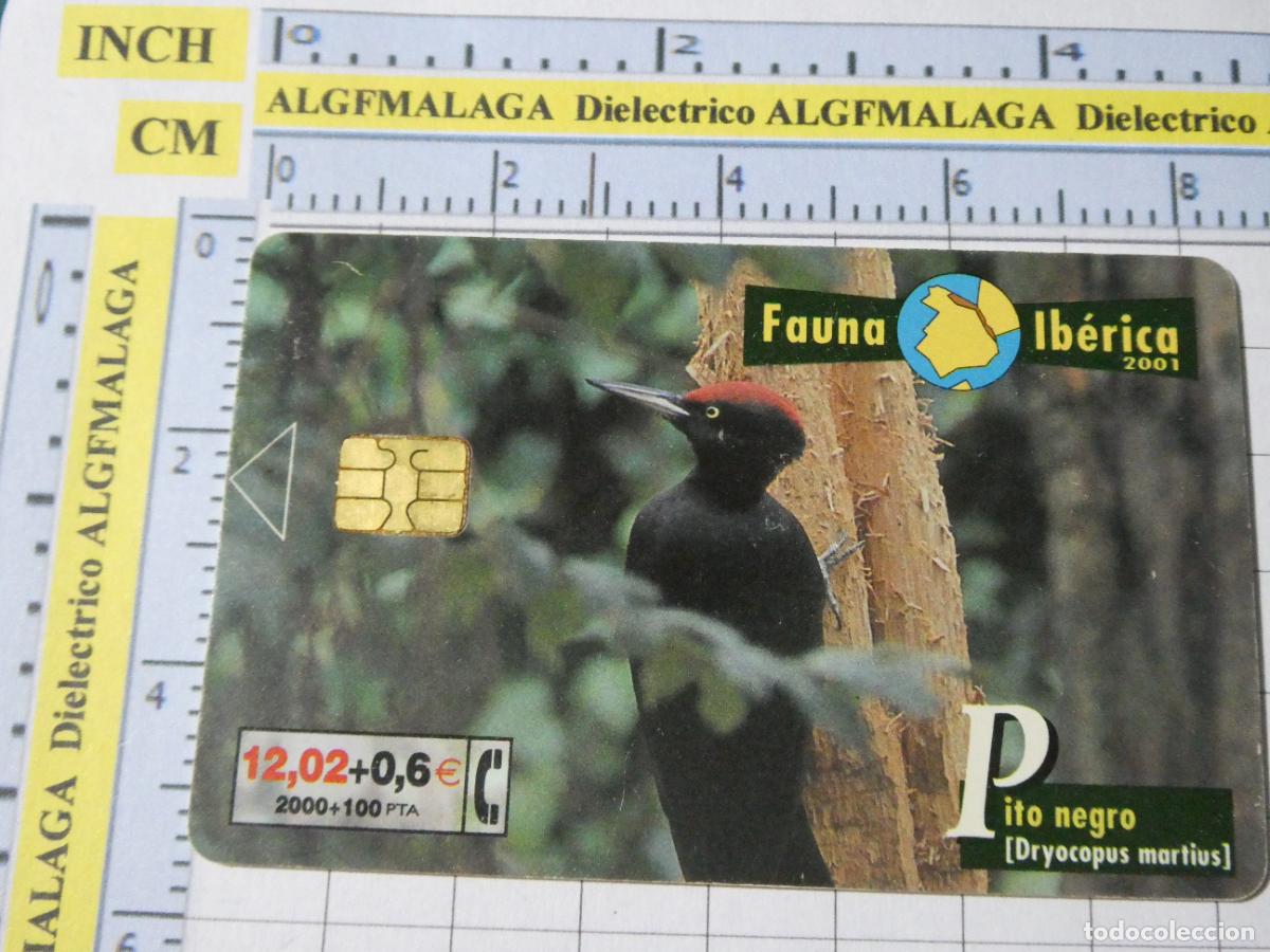 Tarjetas telef&oacute;nicas de colecci&oacute;n: TARJETA TELEF&Oacute;NICA ESPA&Ntilde;A CABITEL. 06/2001 TIRADA 701500 PITO NEGRO 40