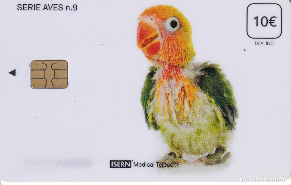 Tarjetas telef&oacute;nicas de colecci&oacute;n: TARJETA DE ESPA&Ntilde;A DE ISERN DE UN LORO SERIE AVES N&ordm;9