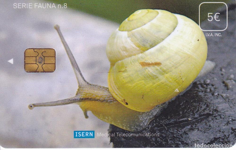 Cartes T&eacute;l&eacute;phoniques de collection: TARJETA DE ESPA&Ntilde;A DE ISERN DE UN CARACOL SERIE FAUNA N&ordm;8