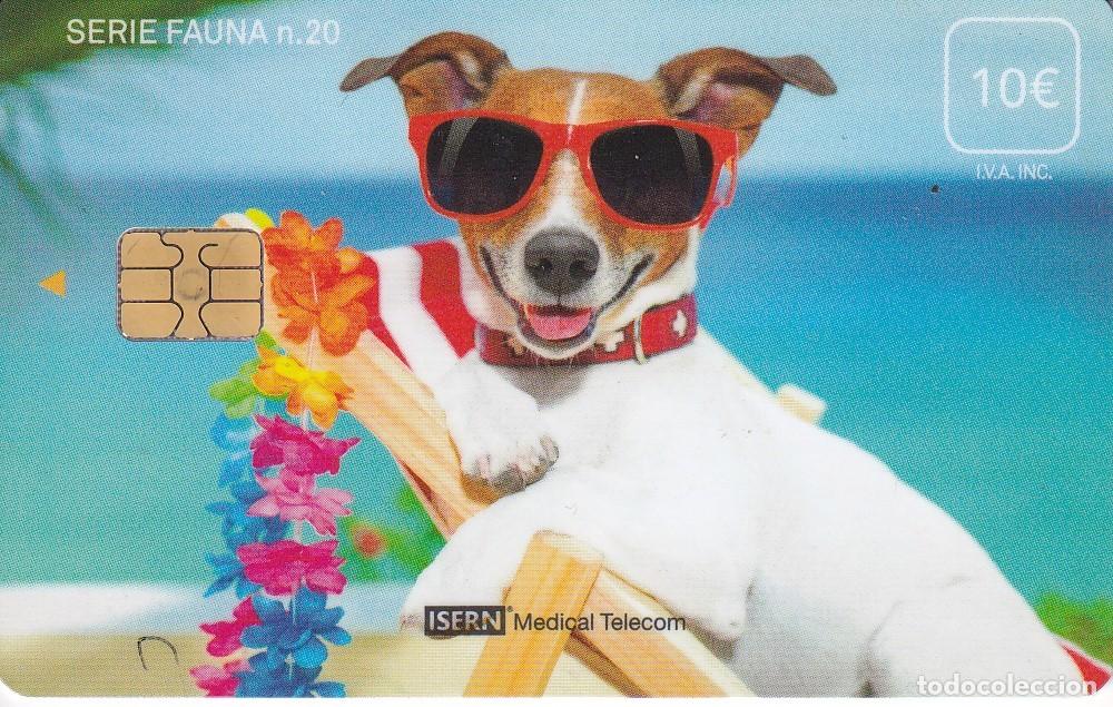 Carte telefoniche di collezione: TARJETA DE ESPA&Ntilde;A DE ISERN DE UN PERRO SERIE FAUNA N&ordm;20