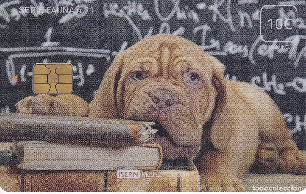 Tarjetas telef&oacute;nicas de colecci&oacute;n: TARJETA DE ESPA&Ntilde;A DE ISERN DE UN PERRO SERIE FAUNA N&ordm;21