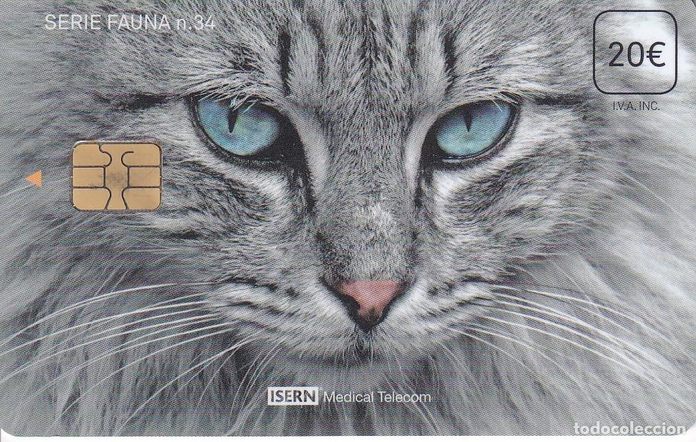 Cartes T&eacute;l&eacute;phoniques de collection: TARJETA DE ESPA&Ntilde;A DE ISERN DE UN GATO SERIE FAUNA N&ordm;34