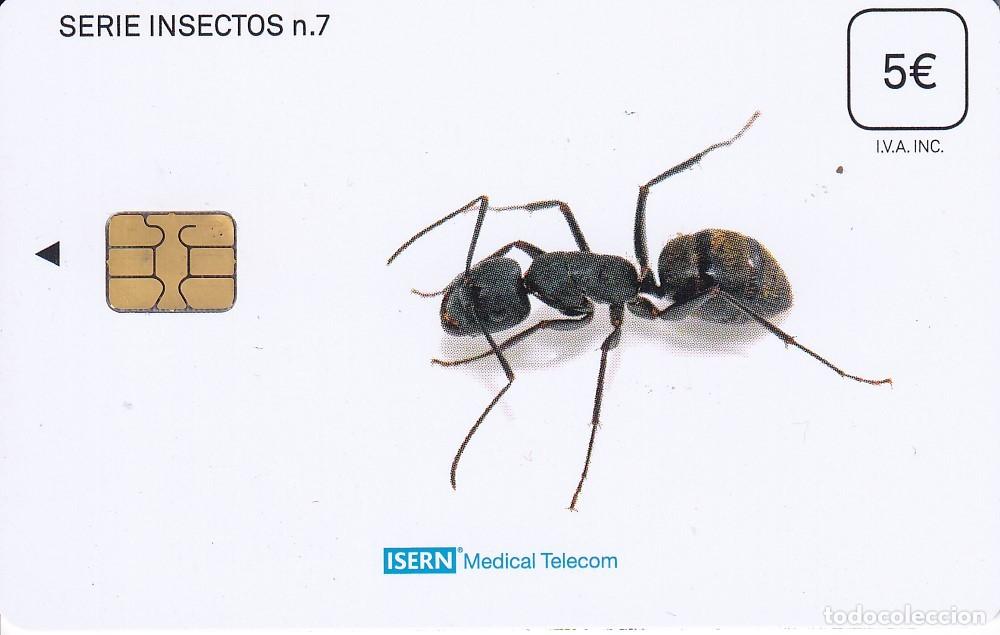 Cartes T&eacute;l&eacute;phoniques de collection: TARJETA DE ESPA&Ntilde;A DE ISERN DE UNA HORMIGA SERIE INSECTOS N&ordm;7