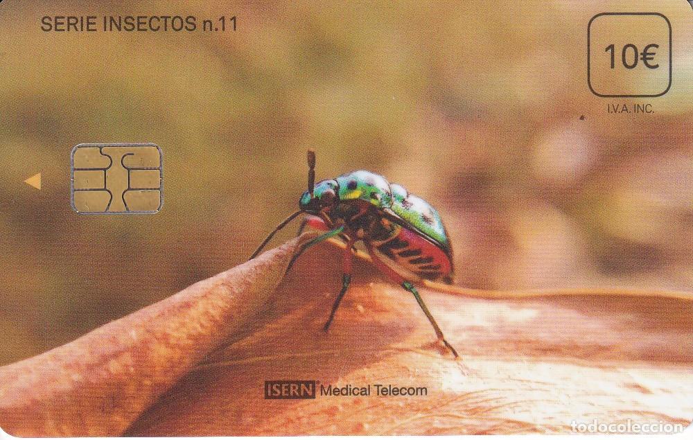 Cartes T&eacute;l&eacute;phoniques de collection: TARJETA DE ESPA&Ntilde;A DE ISERN DE UN ESCARABAJO SERIE INSECTOS N&ordm;11
