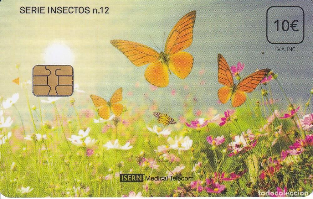 Cartes T&eacute;l&eacute;phoniques de collection: TARJETA DE ESPA&Ntilde;A DE ISERN DE UNAS MARIPOSAS SERIE INSECTOS N&ordm;12