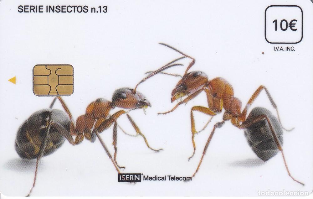 Cartes T&eacute;l&eacute;phoniques de collection: TARJETA DE ESPA&Ntilde;A DE ISERN DE UNAS HORMIGAS SERIE INSECTOS N&ordm;13