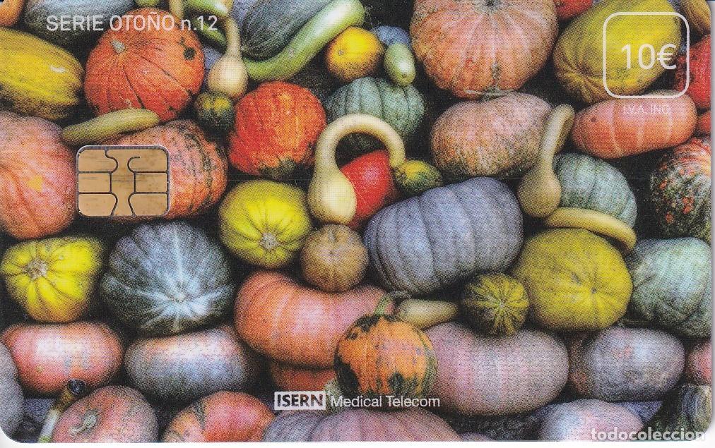 Collection telephone cards: TARJETA DE ESPA&Ntilde;A DE ISERN DE LA SERIE OTO&Ntilde;O N&ordm;12 - CALABAZAS
