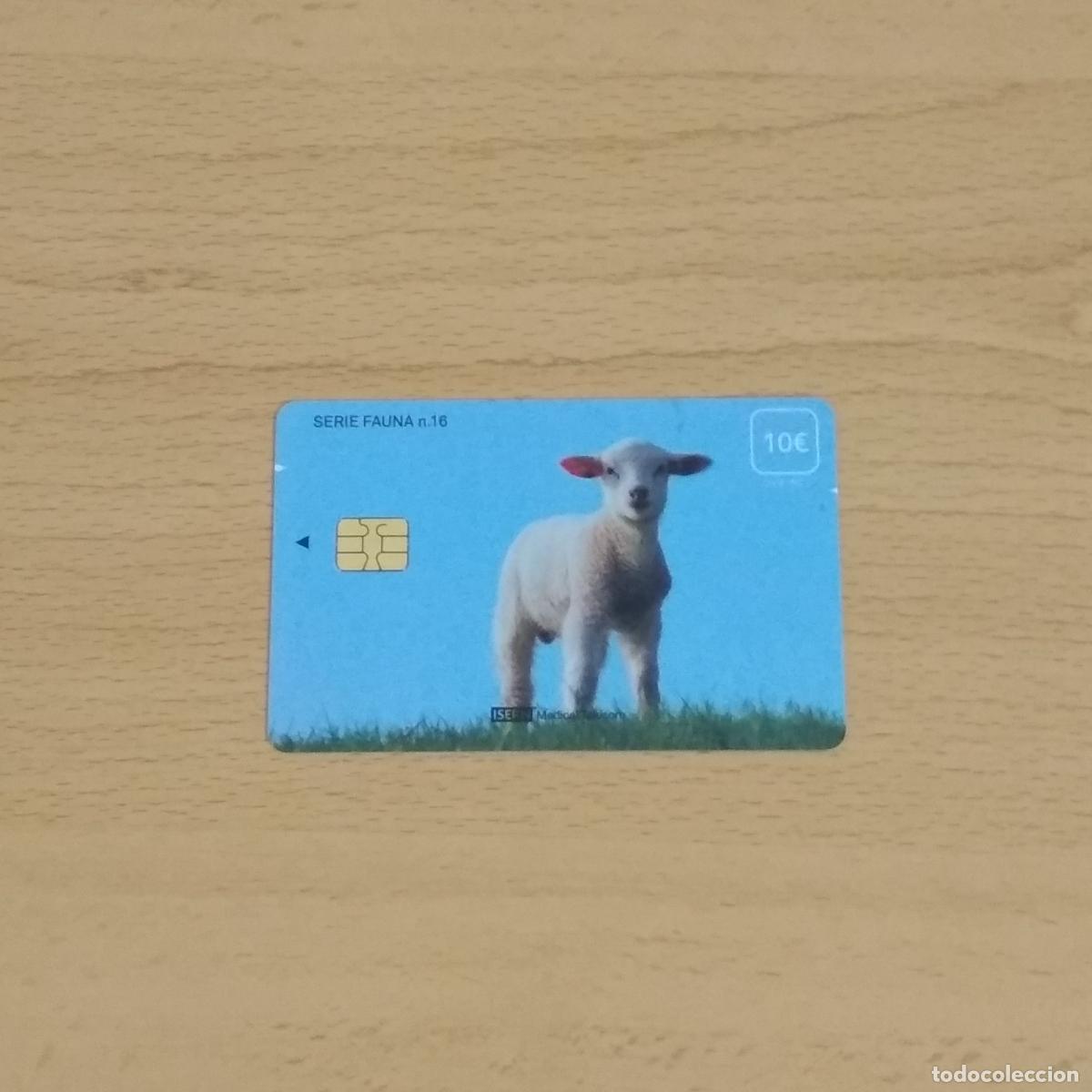 Tarjetas telef&oacute;nicas de colecci&oacute;n: Tarjeta televisi&oacute;n. Serie fauna n&ordm; 16. Corderito. TV Hospital. Isern Medical telecom