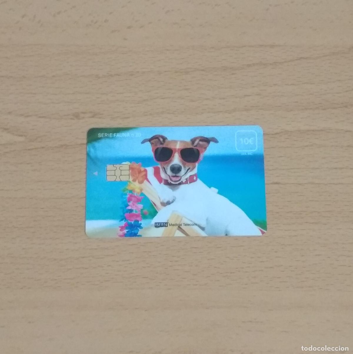 Tarjetas telef&oacute;nicas de colecci&oacute;n: Tarjeta televisi&oacute;n. Serie fauna n&ordm; 20. Perro con gafas de sol. TV Hospital. Isern Medical telecom