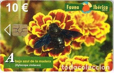 Tarjetas telef&oacute;nicas de colecci&oacute;n: Tarjeta Tel&eacute;fono - Fauna Ib&eacute;rica: Abeja Azul - A&ntilde;o 2010
