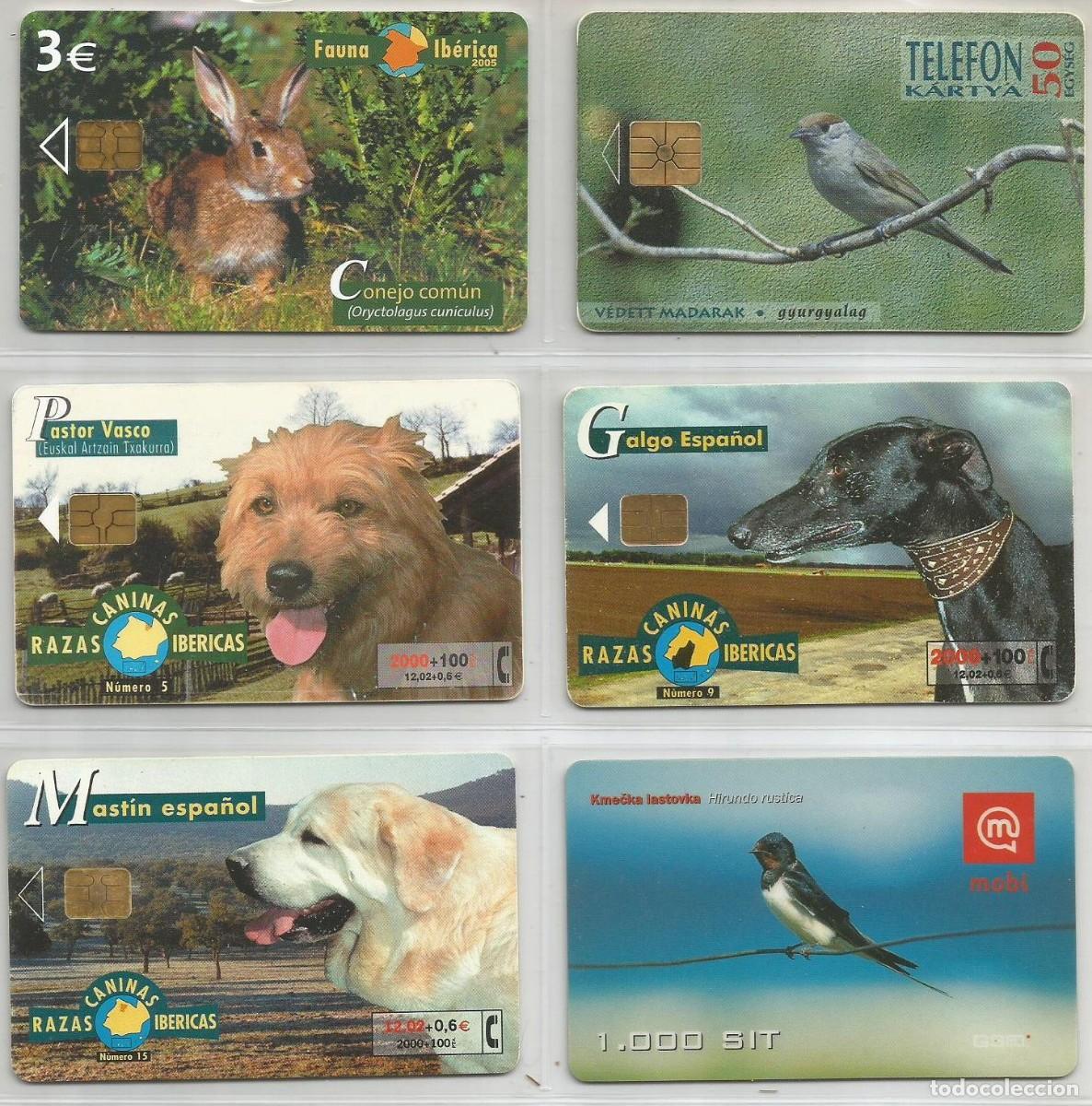 Cart&otilde;es de telefone de cole&ccedil;&atilde;o: LOTE DE 6 TARJETAS TELEF&Oacute;NICAS FAUNA (ANIMALES) DIFERENTES. LAS DE LAS FOTOS. USADAS