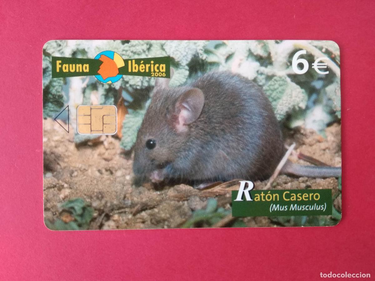 Cart&otilde;es de telefone de cole&ccedil;&atilde;o: TARJETA TELEFONICA DE ESPA&Ntilde;A USADA EMISION BASICA TIRADA 251.000 12/06 FAUNA IBERICA RATON CASERO