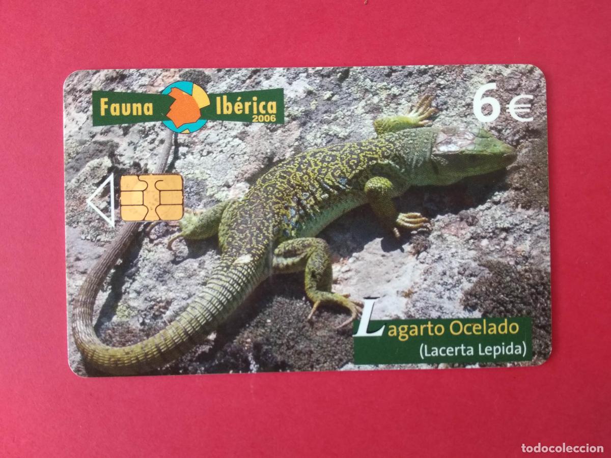 Cart&otilde;es de telefone de cole&ccedil;&atilde;o: TARJETA TELEFONICA DE ESPA&Ntilde;A USADA EMISION BASICA TIRADA 251.000 08/06 LAGARTO OCELADO FAUNA IBERICA