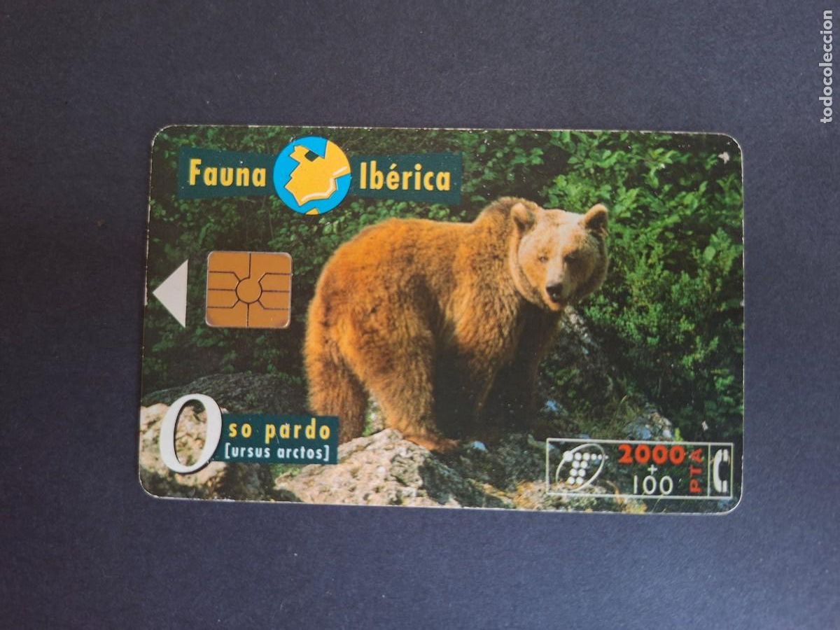 Sammlung von Telefonkarten: Tarjeta telef&oacute;nica &bull; Oso pardo