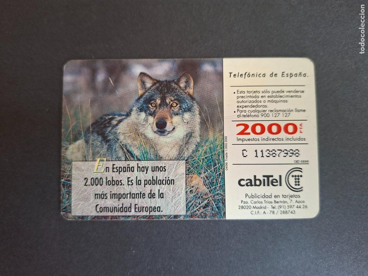 Tarjetas telef&oacute;nicas de colecci&oacute;n: Tarjeta telef&oacute;nica &bull; Lobo - Foto 2