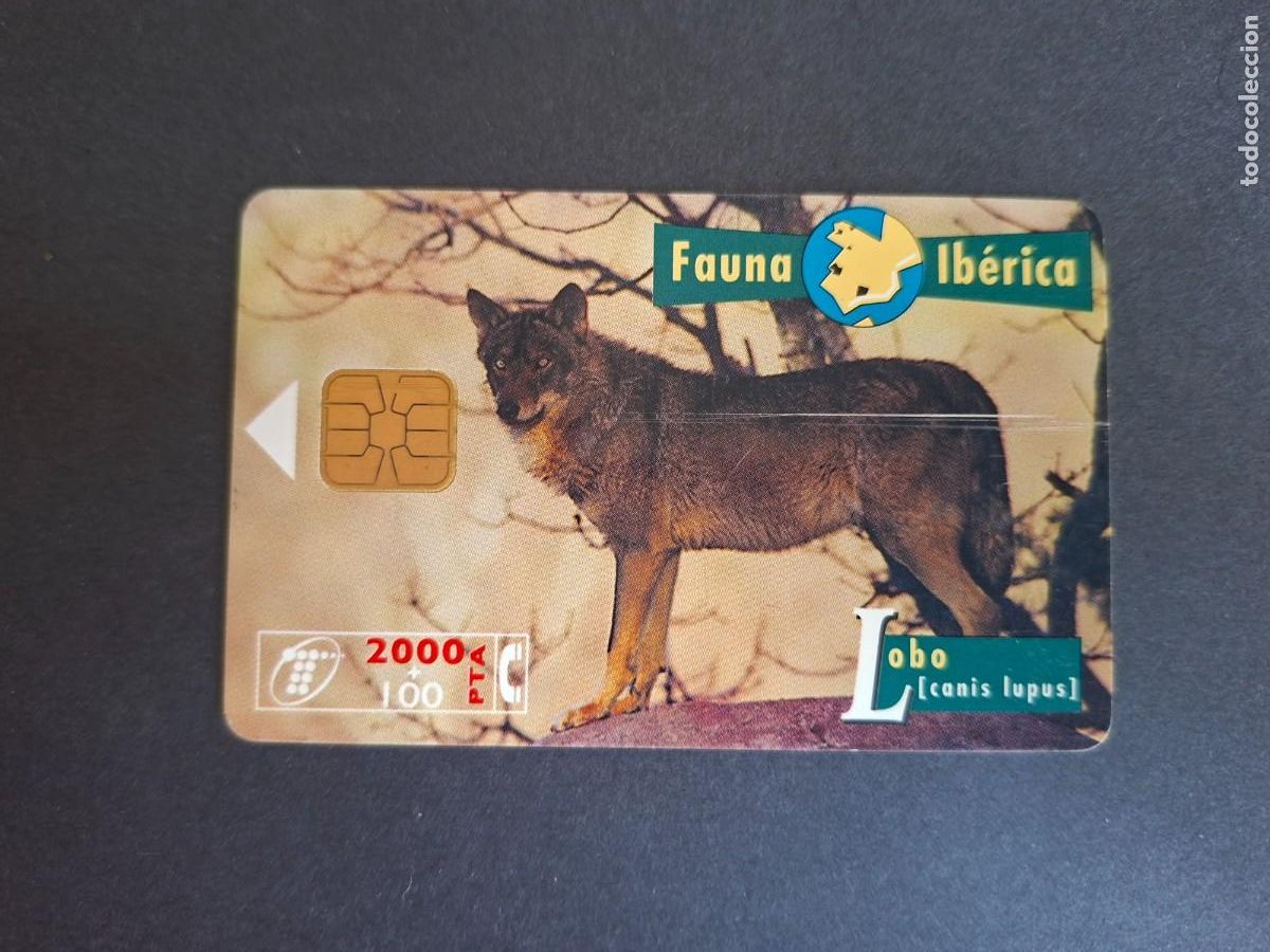 Sammlung von Telefonkarten: Tarjeta telef&oacute;nica &bull; Lobo