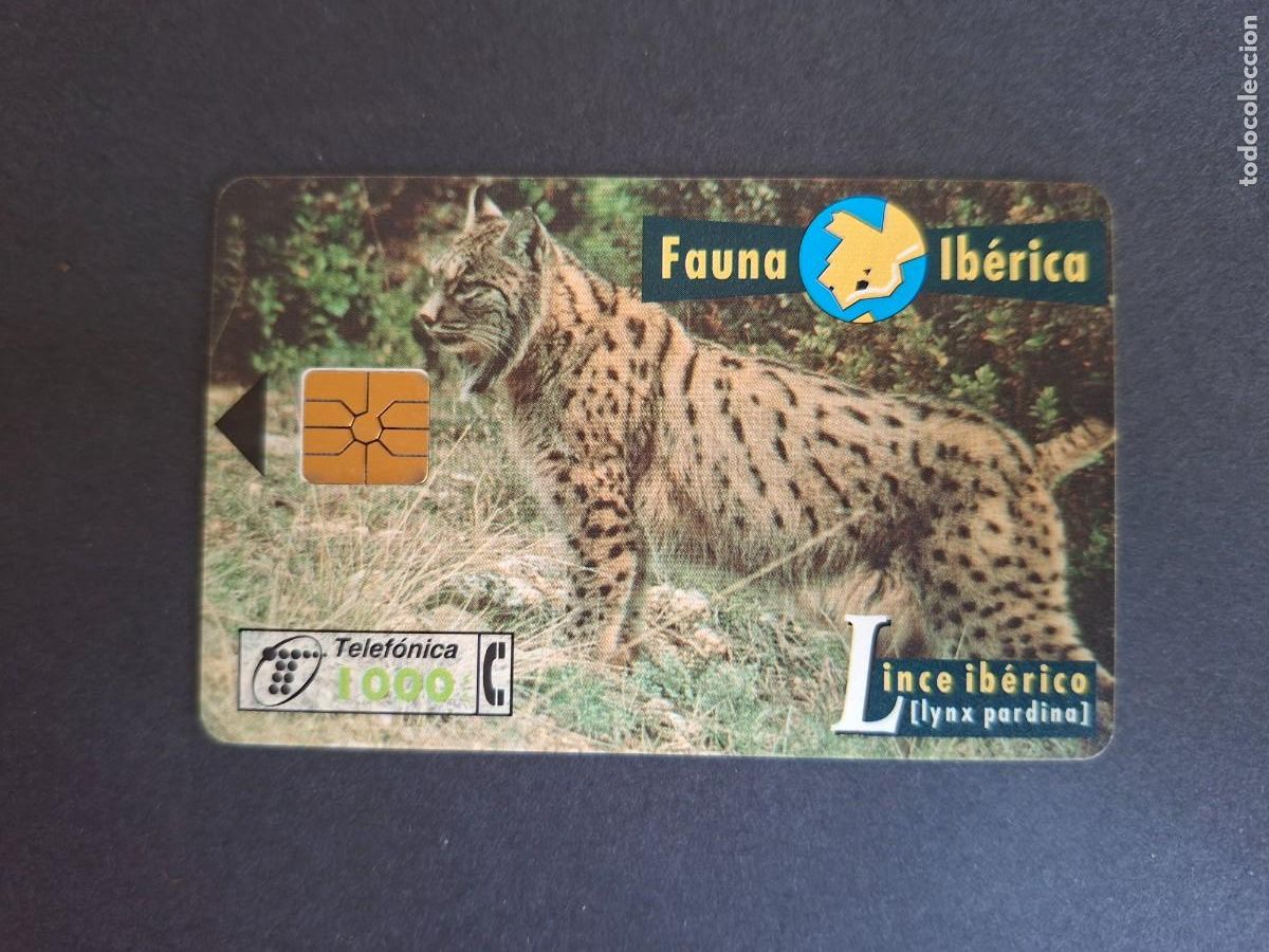 Sammlung von Telefonkarten: Tarjeta telef&oacute;nica &bull; Lince ib&eacute;rico
