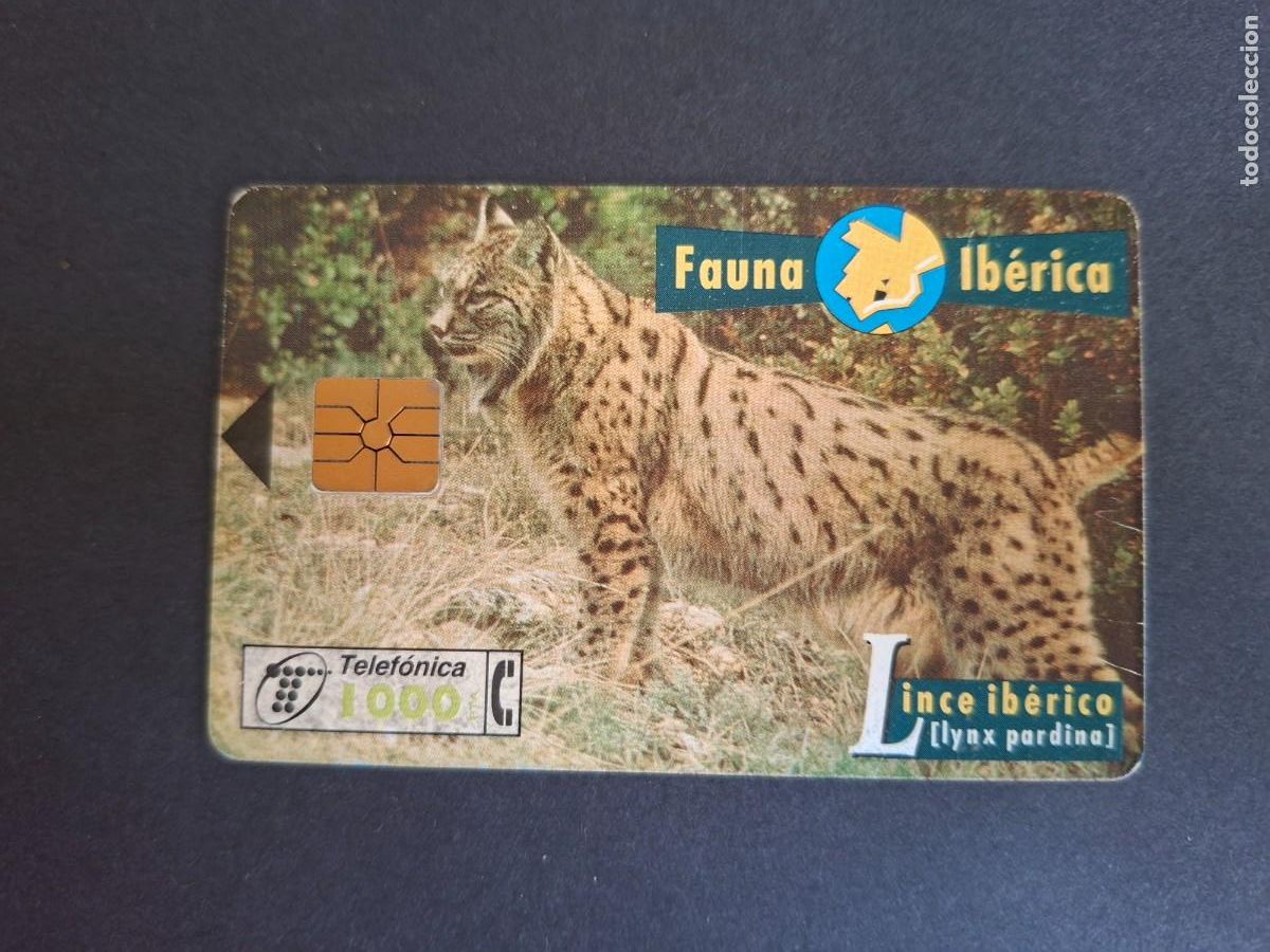 Sammlung von Telefonkarten: Tarjeta telef&oacute;nica &bull; Lince ib&eacute;rico