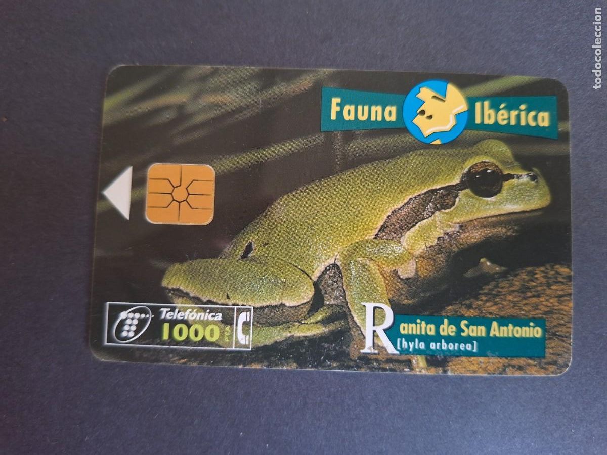Sammlung von Telefonkarten: Tarjeta telef&oacute;nica &bull; Ranita de San Antonio