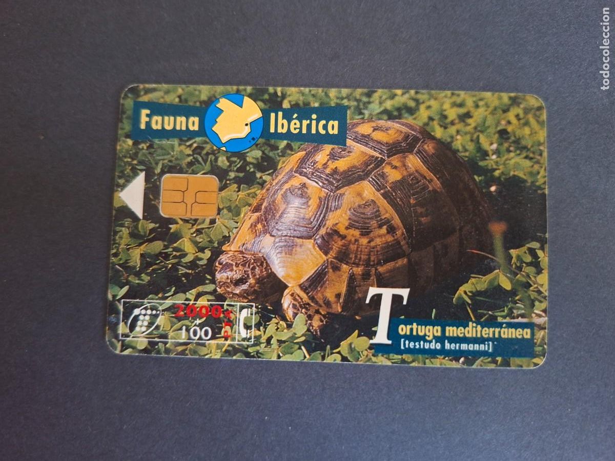 Sammlung von Telefonkarten: Tarjeta telef&oacute;nica &bull; Tortuga mediterr&aacute;nea