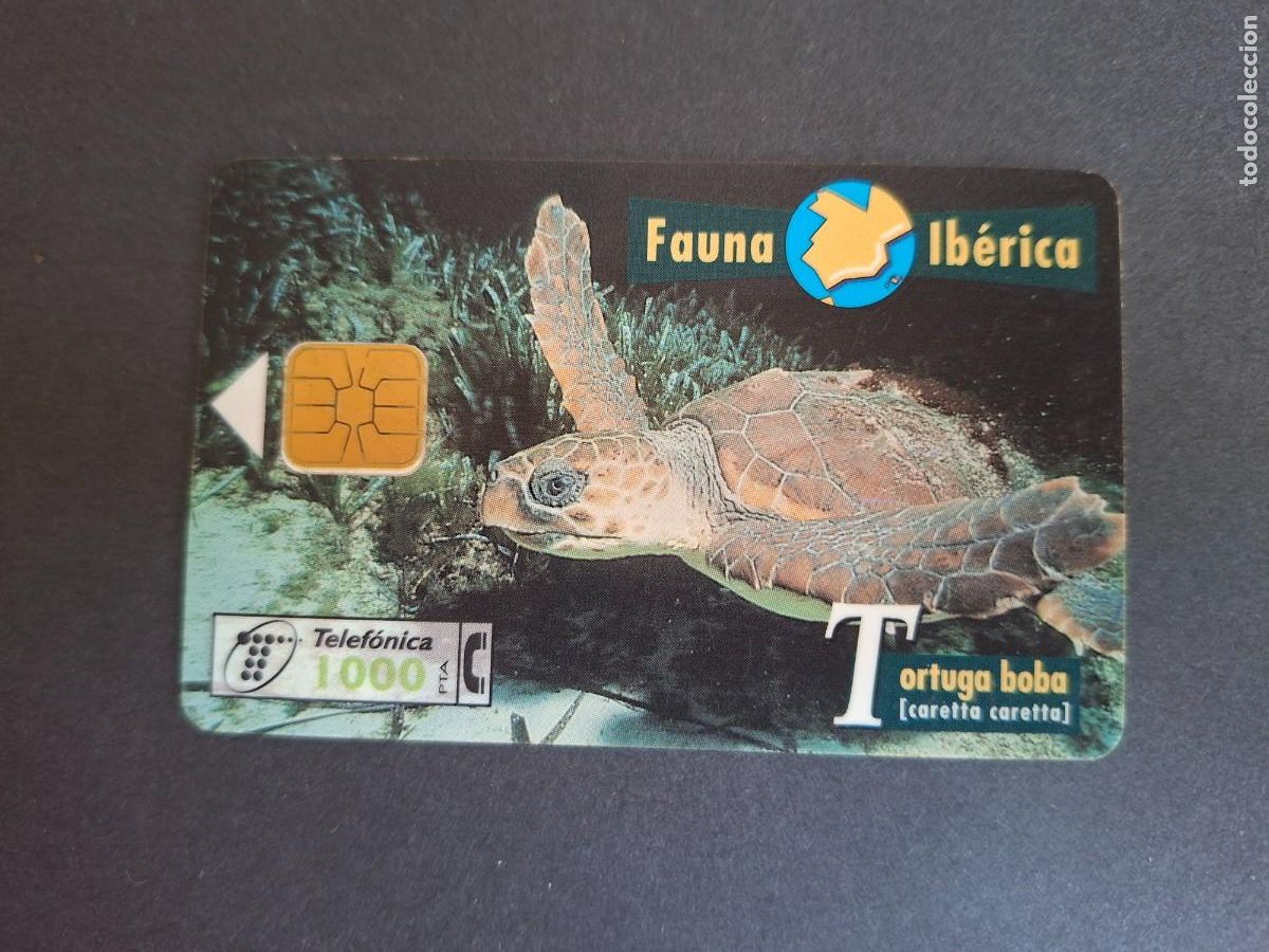 Carte telefoniche di collezione: Tarjeta telef&oacute;nica &bull; Tortuga boba