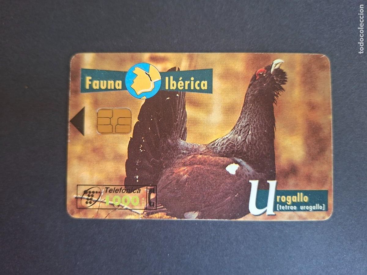 Carte telefoniche di collezione: Tarjeta telef&oacute;nica &bull; Urogallo