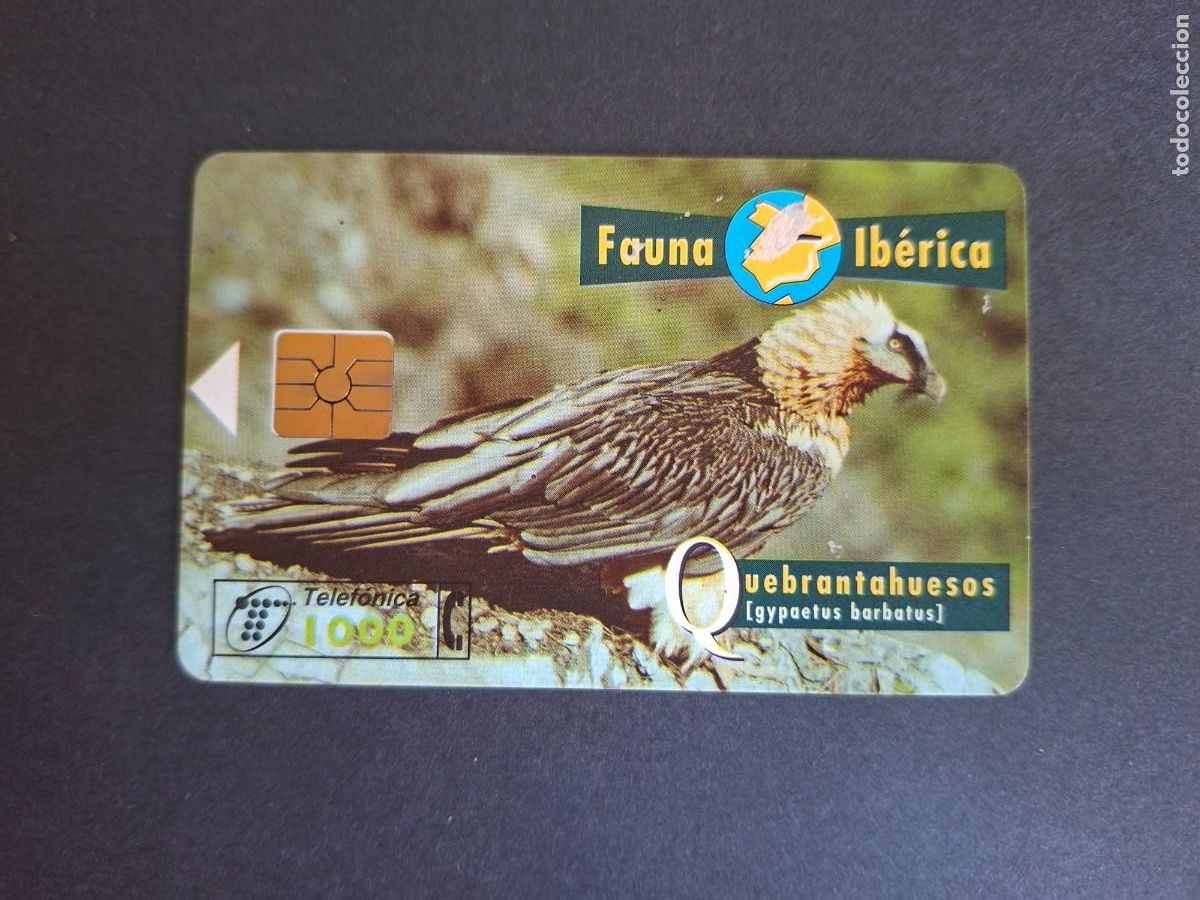 Carte telefoniche di collezione: Tarjeta telef&oacute;nica &bull; Quebrantahuesos