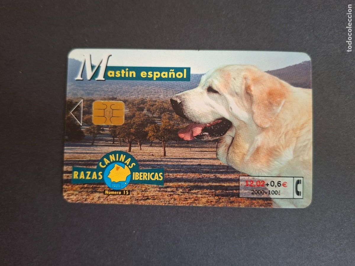 Collection telephone cards: Tarjeta telef&oacute;nica &bull; Mast&iacute;n espa&ntilde;ol