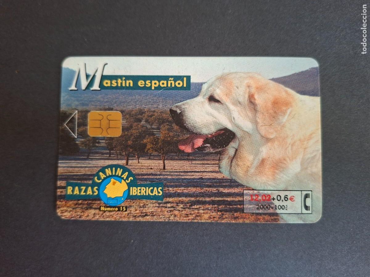 Collection telephone cards: Tarjeta telef&oacute;nica &bull; Mast&iacute;n espa&ntilde;ol
