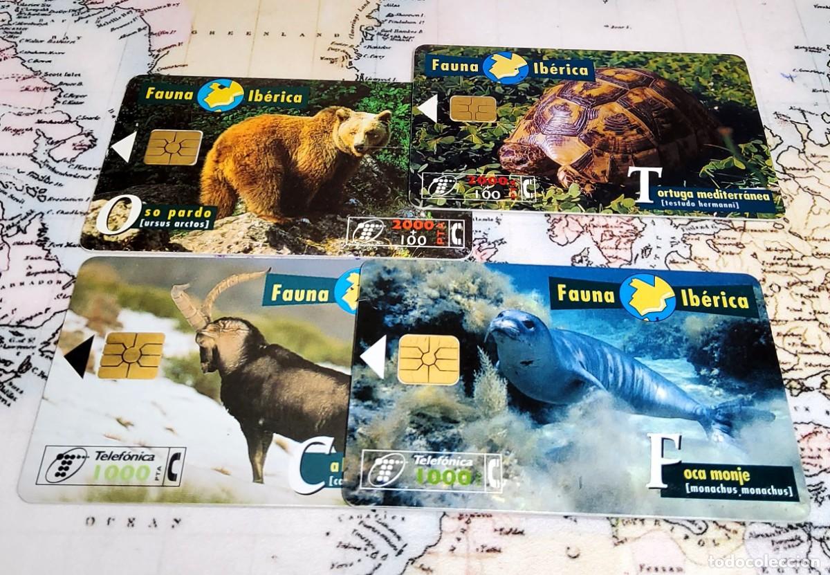 Tarjetas telef&oacute;nicas de colecci&oacute;n: 4 TARJETAS TELEF&Oacute;NICAS DIFERENTES USADAS TEM&Aacute;TICA FAUNA.COMO NUEVAS.