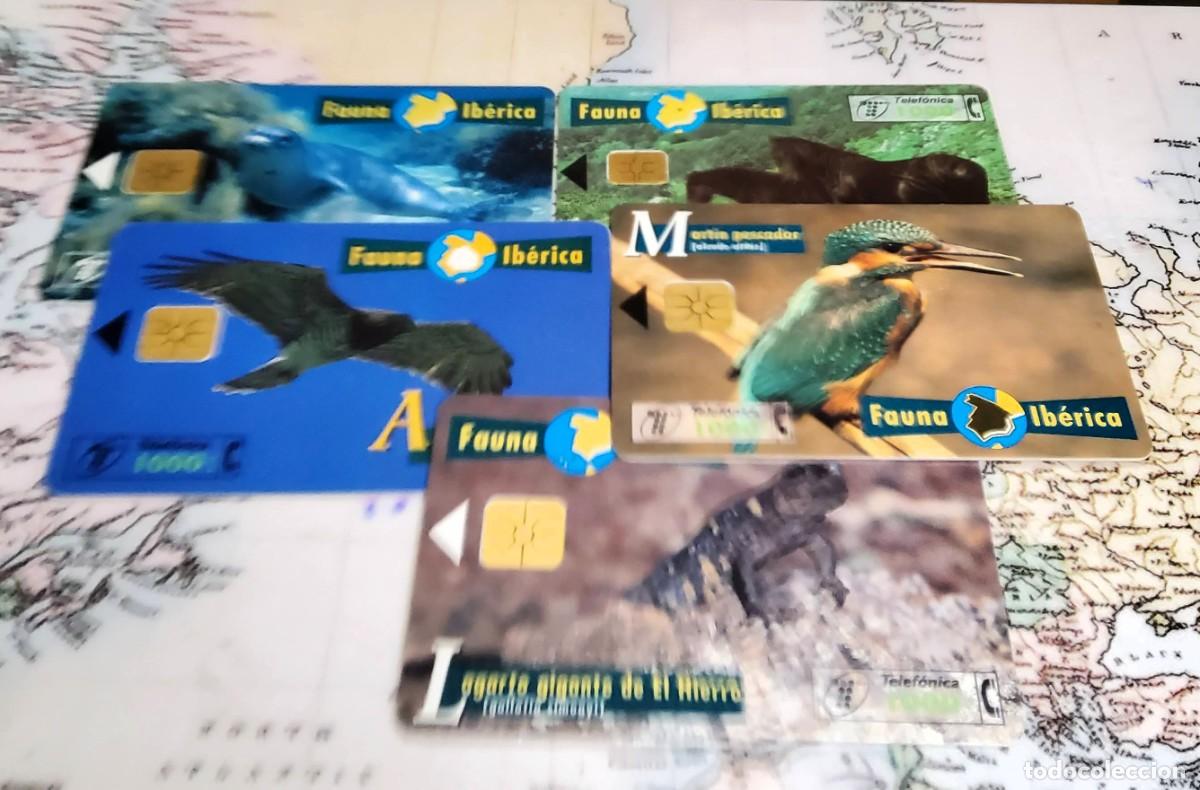 Tarjetas telef&oacute;nicas de colecci&oacute;n: 5 TARJETAS TELEF&Oacute;NICAS DIFERENTES USADAS TEM&Aacute;TICA FAUNA.COMO NUEVAS.