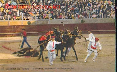 Tauromaquia: CORRIDA DE TOROS - El arrastre - Foto 1