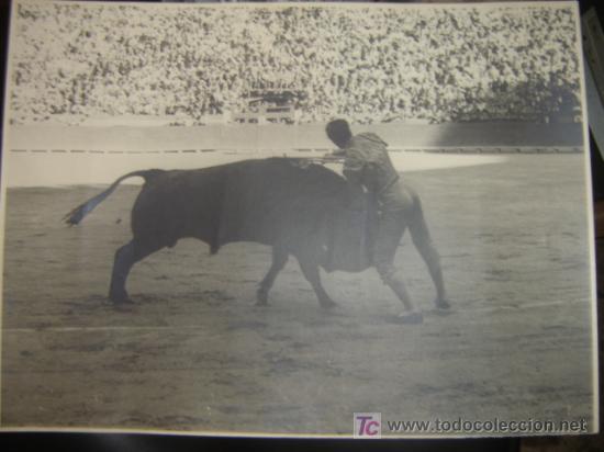 Tauromaquia: 2-FOTOGRAFIA DE MANOLETE