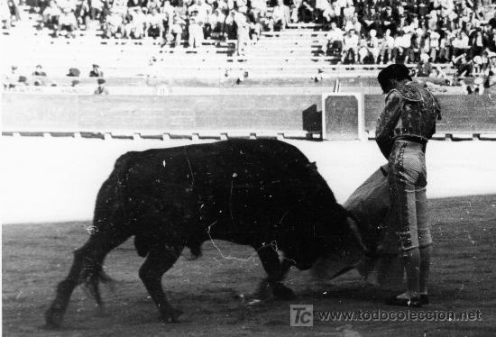 Tauromaquia: 4-FOTOGRAFIA DE MANOLETE