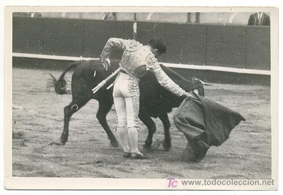 Tauromaquia: Fotografia de una corrida de toros - Foto 1