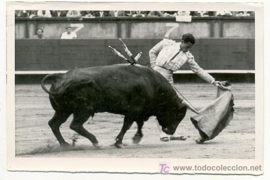 Tauromaquia: Fotografia de una corrida de toros - Foto 1