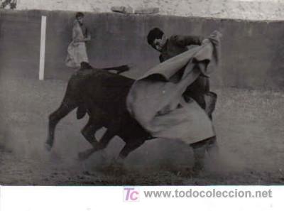 FOTO DE PORRETA