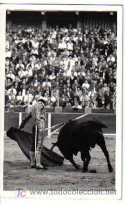 Tauromaquia: FOTO DE RAFAEL ROCA