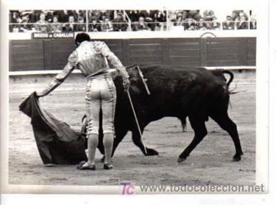 Tauromaquia: FOTO DE RAFAEL ROCA