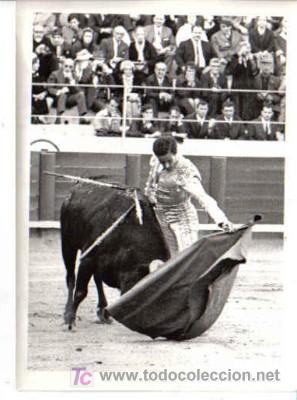 Tauromaquia: FOTO DE RAFAEL ROCA - Foto 1