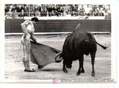 Tauromaquia: FOTO DE RAFAEL ROCA - Foto 1