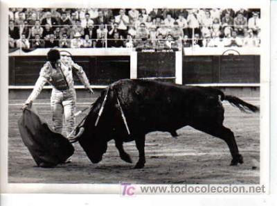 Tauromaquia: FOTO DE JOAQU&Iacute;N BERNAD&Oacute; - Foto 1