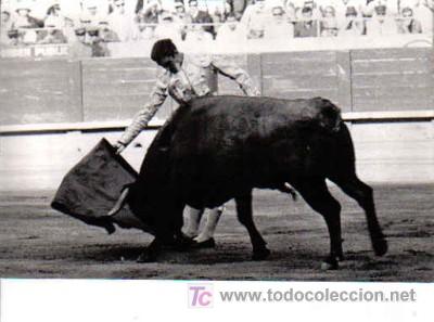 Tauromaquia: FOTO DE JOAQU&Iacute;N BERNAD&Oacute; - Foto 1