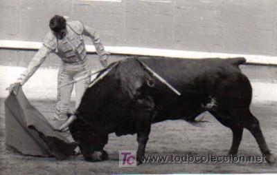 Tauromaquia: FOTO DE JOAQU&Iacute;N BERNAD&Oacute; - Foto 1