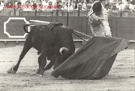 Tauromaquia: FOTO DEL TORERO EL PUNO - Foto 1