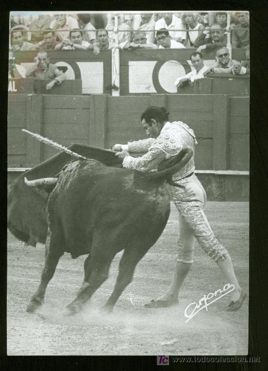 Tauromachie: FOTOGRAFIA DE ANTONIO ORDO&Ntilde;EZ. FOTOGRAFO ARJONA. SEVILLA.